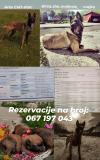 Slika oglasa 6